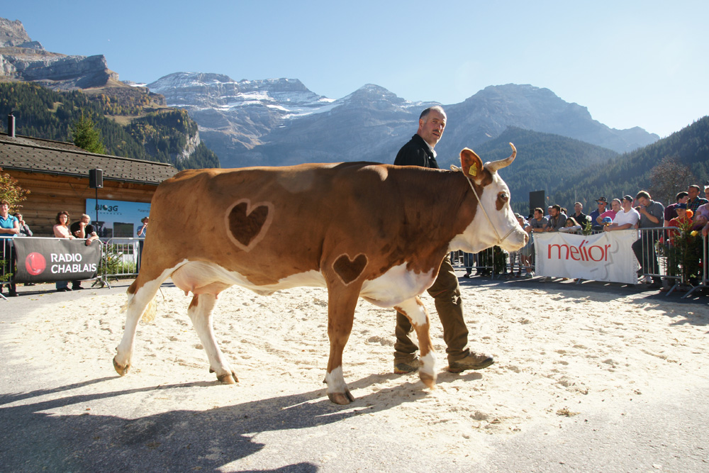 L'agriculture de montagne sera célébrée pour la 10ème fois aux Diablerets ce week-end